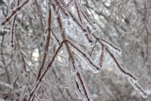 Snow-And-Ice-Pocalypse 2026